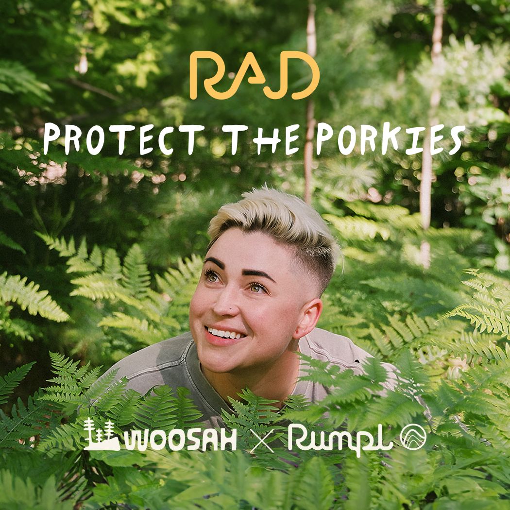 The Camp Pillow - Rae Lang - Protect The Porkies - Image 8