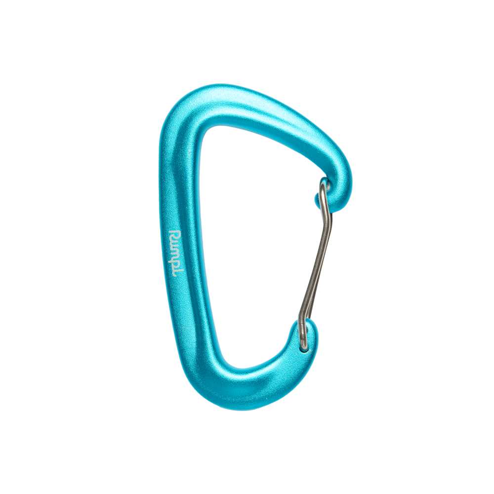 The Carabiner - Medium - Image 2