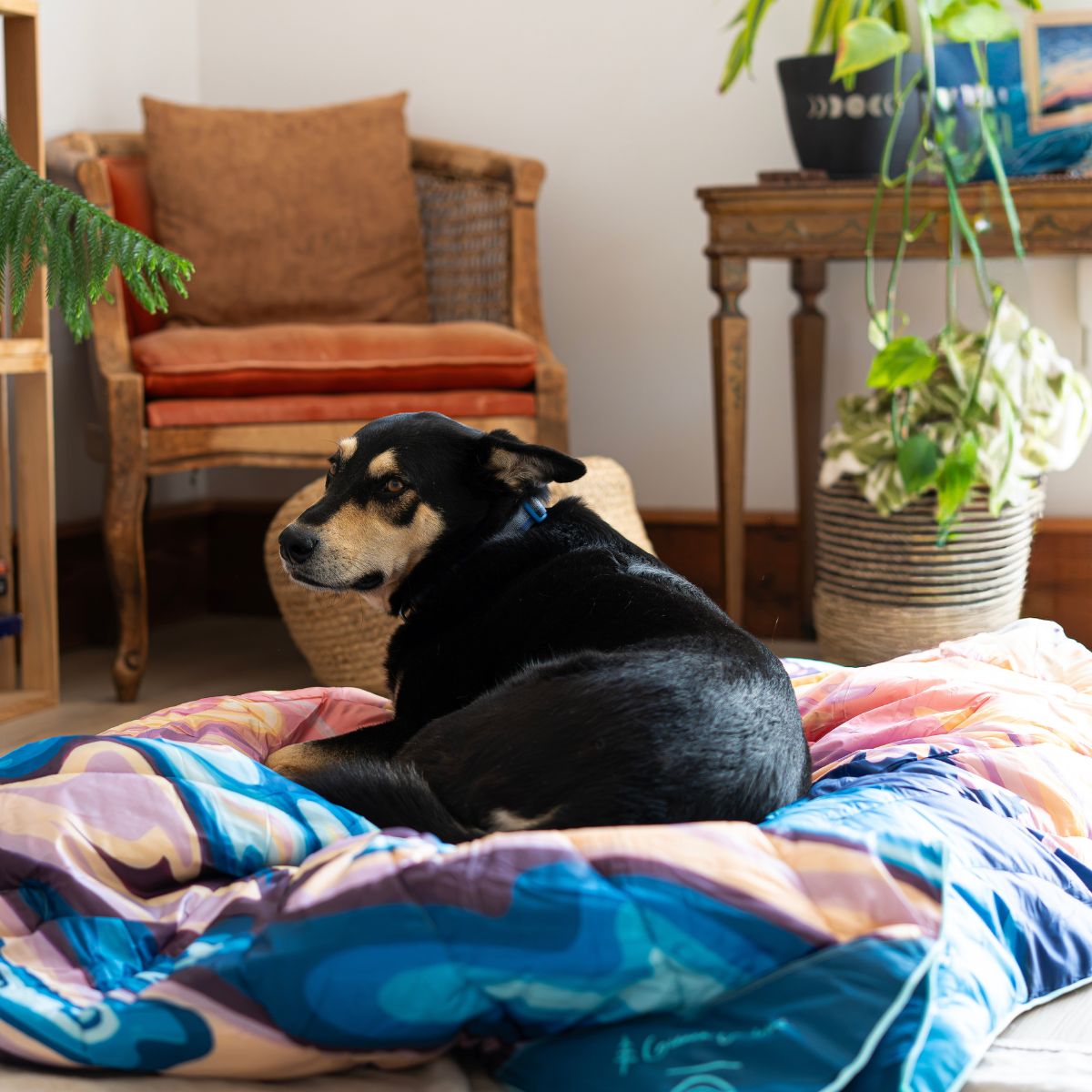 Original Puffy Blanket - Gianna Andrews - Tidal Reflections - Image 12